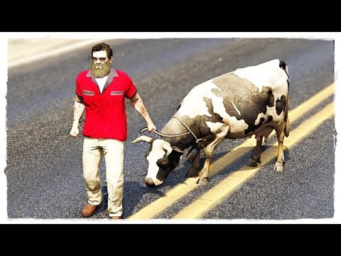 Видео: Тревор сиыр тауып алды😂 | GTA V