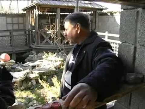 Видео: "Поместье - 2008". Сад Зимой 2