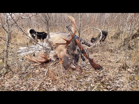 Видео: Доработка ложи комбинированного оружия ИЖ-94