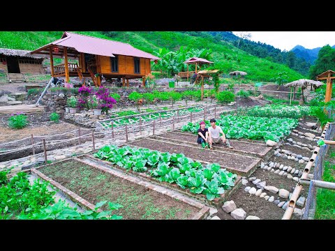 Видео: Дневник трех лет жизни без сети, Строительство дома, Несчастные случаи, работа в саду и сбор яиц