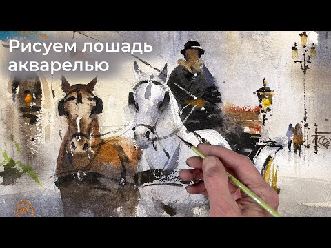 Видео: Рисуем красивую лошадь акварелью с Ильей Ибряевым