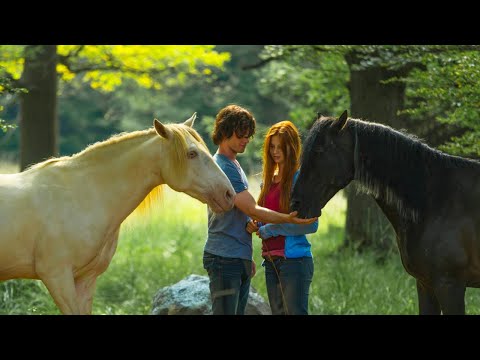 Видео: ВТОРАЯ ЧАСТЬ О ПРИКЛЮЧЕНИЯХ И НЕОБЫКНОВЕННОЙ ДРУЖБЕ! Восточный ветер 2. Приключенческие Фильмы