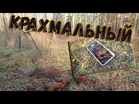 Видео: Остались ещё хорошие и некопаные места по металлолому. Однозначно остались