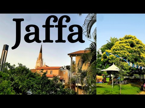 Видео: Вечерняя прогулка из Бат Яма в Яффо.Тут вам  Запад и Восток