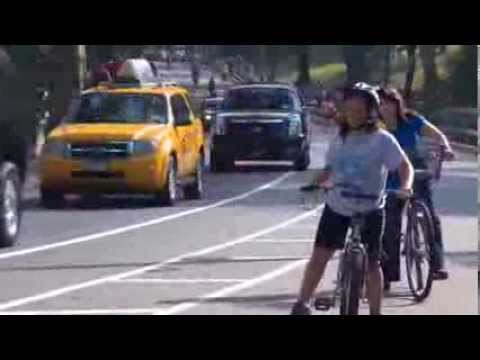 Видео: Итоги 5-го месяца #44 Первые шаги в США