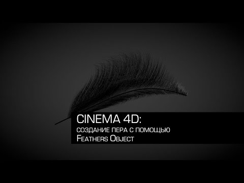 Видео: Cinema 4D / создание пера с помощью Feathers Object
