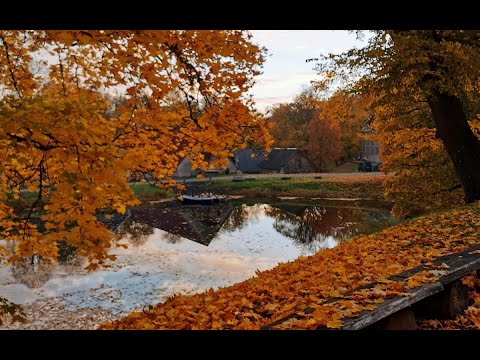 Видео: влог - осень , перемены в жизни, барахолка