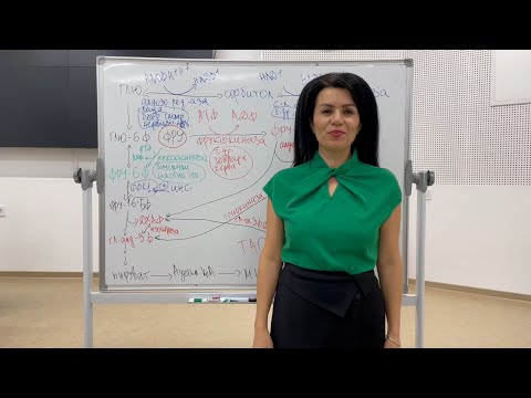 Видео: Обмяна на фруктоза / Metabolism of fructose