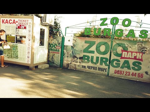 Видео: Зоопарк Бургас.ZOO BURGAS.Виртуална разходка.Събота точно в седем.#7