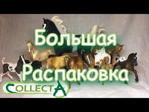 Видео: CollectA Horses/РАСПАКОВКА/Новые лошади коллекта