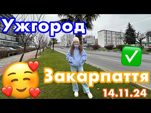 Видео: УЖГОРОД СЬОГОДНІ 🥰ПАЛЬМИ В ЛИСТОПАДІ🌴ЗАКАРПАТТЯ🇺🇦14.11.2024🍁