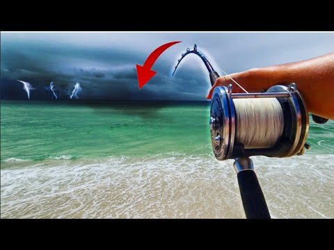 Видео: Вот почему НИКОГДА не отправляйтесь ловить акул в одиночку!