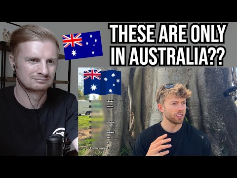 Видео: Реакция на 10 вещей в Австралии, которые имеют смысл