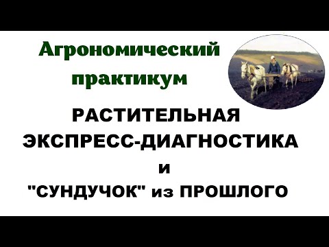 Видео: Растительная экспресс-диагностика и "сундучок" из прошлого.