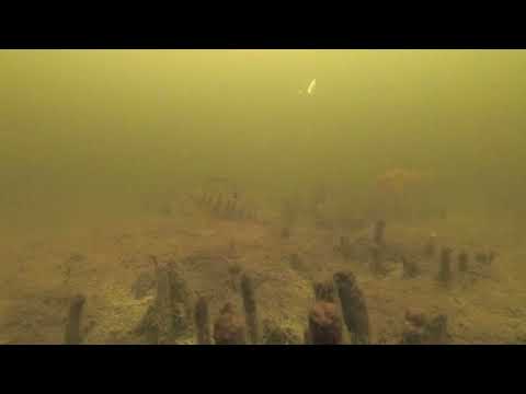 Видео: Պերկես. Ստորջրյա Նկարահանումներ, Զանգակատուն, Հայաստան / Подводные Съемки Окуня, Зангакатун, Армения