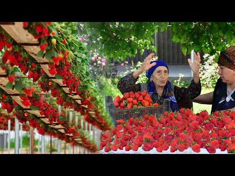 Видео: Клубничный джем Клубничный пирог и апельсин, грушевые сладости!