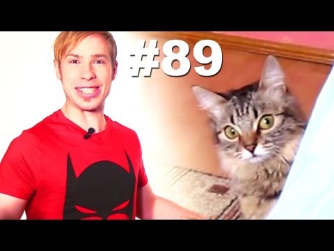 Видео: This is Хорошо - iШлёп =V [iSlap]