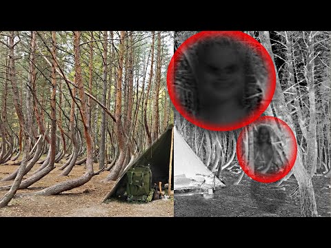 Видео: Экспедиция: Аномальная зона, ПРИЗРАК СНЯТ НА КАМЕРУ Expedition: Anomalous Z GHOST CAPTURED ON CAMERA
