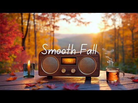 Видео: Smooth Fall | Тёплые вибрации для уютных моментов