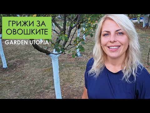 Видео: Есенни грижи за ОВОШКИТЕ