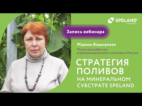 Видео: Вебинар: стратегия поливов на минеральном субстрате SPELAND