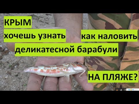 Видео: Крым. Рыбалка на барабулю на пляже.