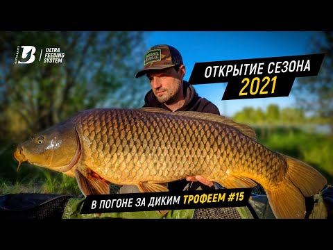 Видео: Рыбалка на карпа. Открытие сезона 2021 на диком водоеме. В погоне за диким трофеем #15.
