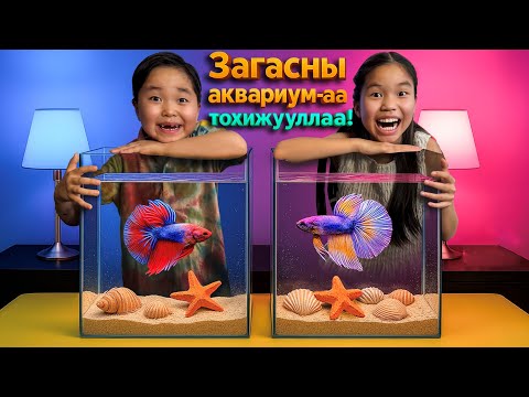 Видео: Бидний Анхны PET! Загас Маань Шинэ Гэртээ Орлоо! 🏡🐟