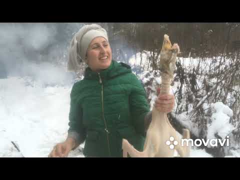 Видео: Ощип,потрошение Гуся| от АдоЯ