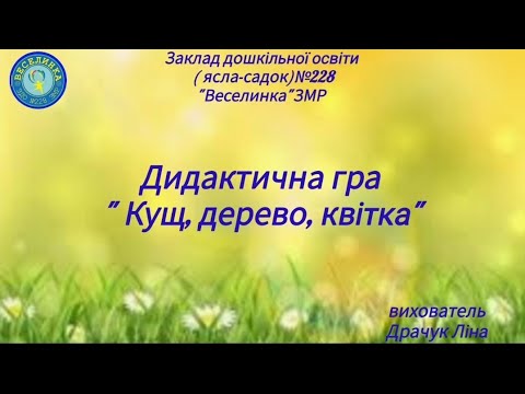 Видео: Дидактична гра " Квітка, дерево, кущ"