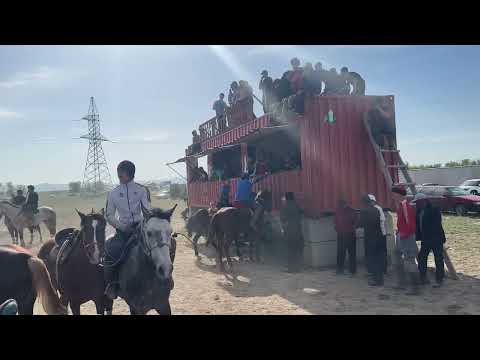 Видео: Азамат палуан Жуалы 03.05.25