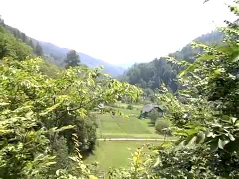 Видео: Путила