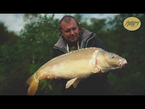 Видео: Ловля карпа в октябре. Как и где ловить карпа по холодной воде. Карпфишинг 2021