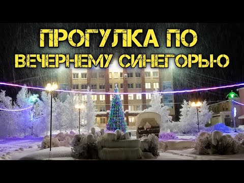 Видео: Вечерняя прогулка по Синегорью. 16.12.23