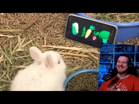 Видео: UNUSUAL MEMES COMPILATION V181 | РЕАКЦИЯ НА UnusualVideos