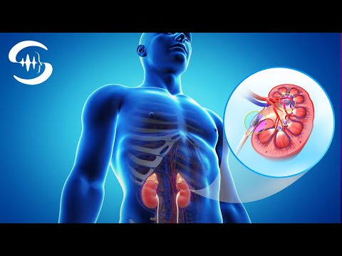 Видео: Частоты исцеления почек: музыка для очищения и исцеления