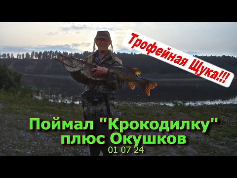 Видео: Поймал "Крокодилку" плюс Окушков 01 07 24