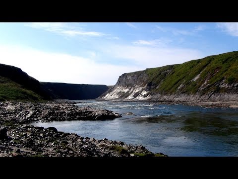 Видео: Кара 2019(трейлер)