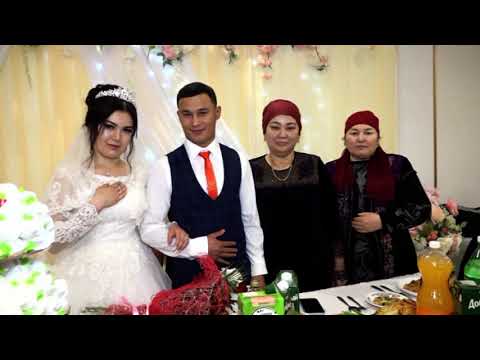 Видео: Туй Руслан. Часть 9