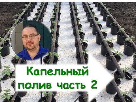 Видео: Капельный полив. Как монтировать и ремонтировать капельную ленту?