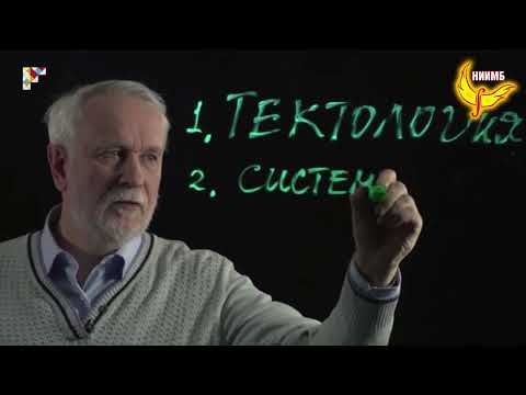 Видео: Синергетика. Наука о сложном (лекция 1) - Владимир Буданов