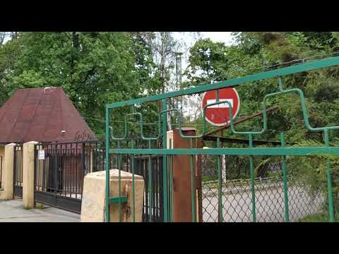 Видео: Черновцы, ул. Федьковича