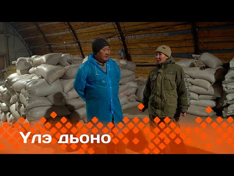 Видео: «Үлэ дьоно»  (26.03.24)