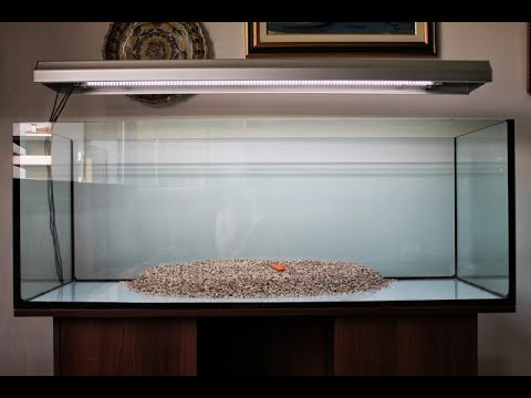 Видео: Аквариумистика. Еще один аквариум.