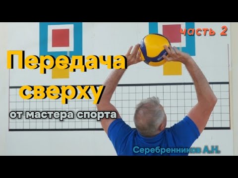 Видео: Мастер спорта и тренер суперлиги про передачу сверху. Часть 2 подводящие упражнения 🔥