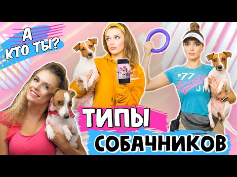 Видео: ТИПЫ СОБАЧНИКОВ | А ты какой собачник???