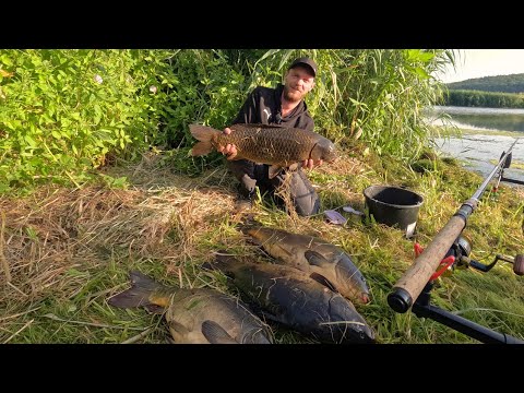Видео: "Карп за карпом! 🎣 8 трофеев + каяк | 8 Trophy Carps + Kayak Camping!"