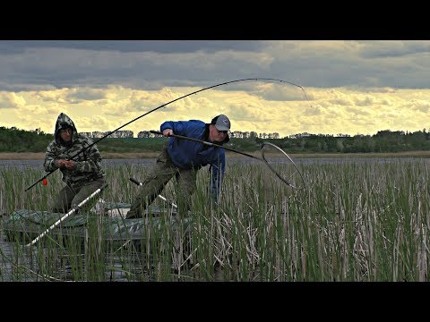 Видео: ХОТЕЛ ПОЛОВИТЬ КРАСНОПЁРКУ, НО НАЧАЛ КЛЕВАТЬ ЛИНЬ!РЫБАЛКА НА БОКОВОЙ КИВОК И ПОПЛАВОЧНУЮ УДОЧКУ!