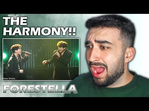 Видео: FORESTELLA - Shape Of You [РЕАКЦИЯ] FORESTELLA