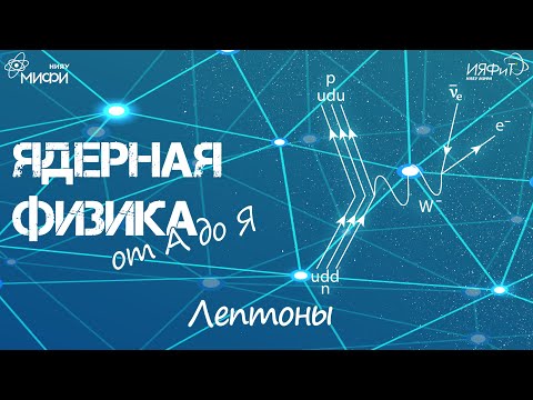 Видео: Ядерная физика от А до Я: Л - Лептоны